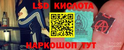 шишки Можга