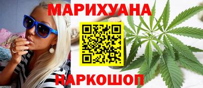 шишки Можга