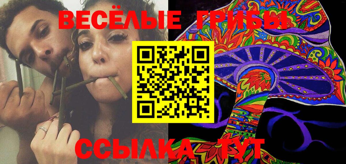 Галлюциногенные грибы Psilocybe  Вход с VPN  Псилоцибиновые грибы GOLDEN TEACHER  Санкт-Петербург 